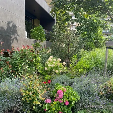 Brasovista - Paj Premium Apartments In Urban Plaza מראה חיצוני תמונה