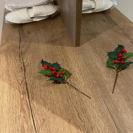 Brasovista - Paj Premium Apartments In Urban Plaza מראה חיצוני תמונה
